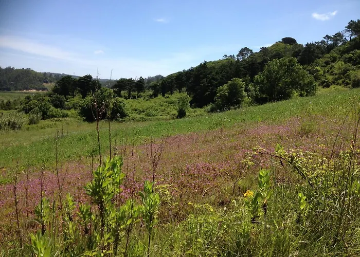 Вилла Rio D'azenha -